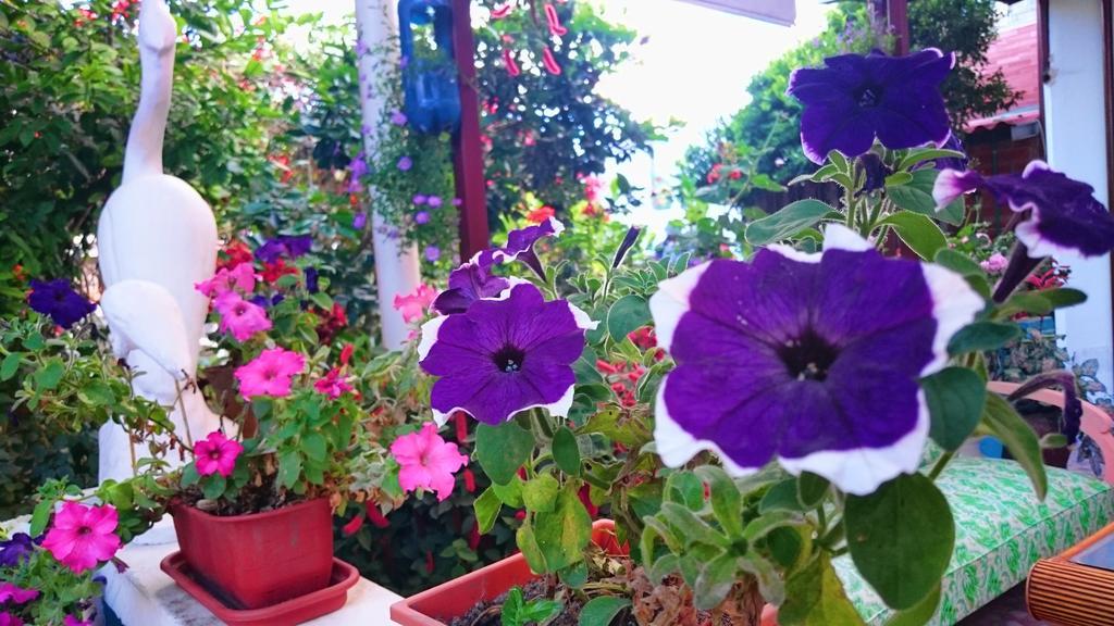 Hostal El Parque ตาบาเบลา ภายนอก รูปภาพ