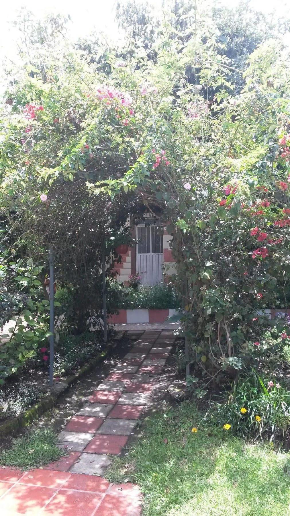 Hostal El Parque ตาบาเบลา ภายนอก รูปภาพ